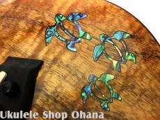 Kanile'a [HNS-C/PG]コンサート プレミアムコア ホヌインレイ_10