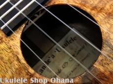 Kanile'a [HNS-C/PG]コンサート プレミアムコア ホヌインレイ_11