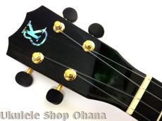 Kanile'a [HNS-C/PG]コンサート プレミアムコア ホヌインレイ_13