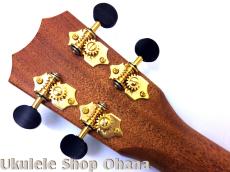 Kanile'a [HNS-C/PG]コンサート プレミアムコア ホヌインレイ_14