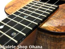 Kanile'a [HNS-C/PG]コンサート プレミアムコア ホヌインレイ_15