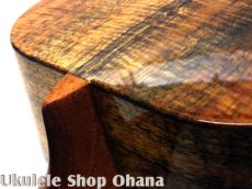 Kanile'a [HNS-C/PG]コンサート プレミアムコア ホヌインレイ_16