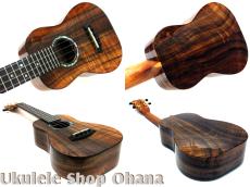 Kanile'a [KPA-C/PG]コンサート プレミアムコア アバロンロゼッタ_3