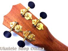 Kanile'a [KPA-C/PG]コンサート プレミアムコア アバロンロゼッタ_13