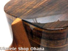 Kanile'a [KPA-C/PG]コンサート プレミアムコア アバロンロゼッタ_15