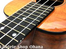 Kanile'a [K-2C/PG]コンサート プレミアムコア_14