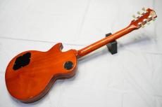 Edwards E-LP-STD_2