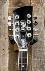 その他 Eastwood Mandocaster_5