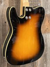 その他 Eastwood Mandocaster_7