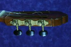 君島聡 LUNA　CLASSIC　L.G.O　松/マダガスカルローズウッド　2025年新作初入荷_5