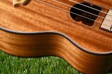 Bearlele INU-UKU-S Soprano_10