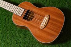 Bearlele INU-UKU-C Concert