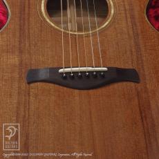 Jeff Traugott Model R (Torrefied Redwood & Myrtlewood)【デモ動画掲載】_11