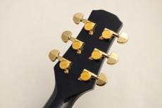 Morris 【WINTER SALE!】 TC-16/SBU #2411011 【フローレンタイン・カッタウェイ×シースルーブルー】_8