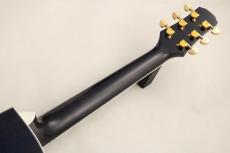 Morris 【WINTER SALE!】 TC-16/SBU #2411011 【フローレンタイン・カッタウェイ×シースルーブルー】_9