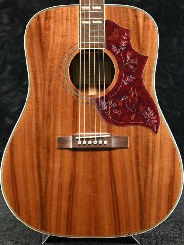 Epiphone Hummingbird Koa Special w/Fishman《エレアコ》【オンラインストア限定】