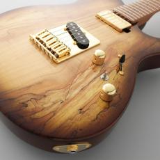 FUJIGEN EIL-EW1-HS-RM/HCB (Hojicha Burst)【オンラインストア限定】_3