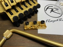 Floyd Rose FRTS3000SR2 Special Series Tremolo System R2 Nut Satin Gold_4