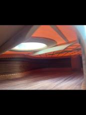 Aiersi Guitar SC098SPF-JC【スモールマンモデル|杉&ローズ】SOLDにつき在庫追加しています!_10