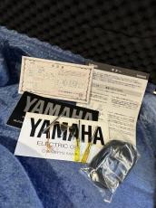 YAMAHA SG-7AS Moss Green 30th Anniversary_10