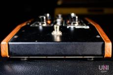 Moog moogerfooger MF-101 Lowpass Filter_4