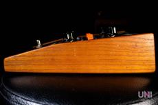 Moog moogerfooger MF-101 Lowpass Filter_5