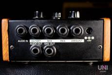 Moog moogerfooger MF-101 Lowpass Filter_6