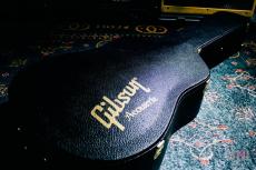 Gibson Hummingbird Red Spruce / 2015_11