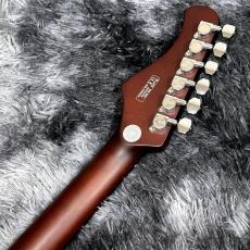 Bacchus BARON-JAZZ Alnico NA -Global Series-【WINTER SELECTION特価】【高級感のあるアーチトップ!】_7