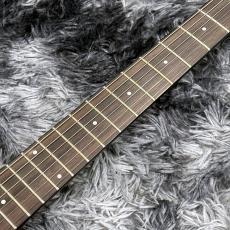 Bacchus BARON-JAZZ Alnico BLK-Top -Global Series-【WINTER SELECTION特価】【高級感のあるアーチトップ!】_5