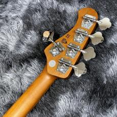 Bacchus WL5-STD33-AC RSM/M BLK -Global Series-【WINTER SELECTION特価】【アクティブ5弦ベース】_6