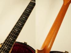 Taylor 【2016 Japan Show Model】CTM GA Brazilian Rosewood 【アディロンダックスプルース×ハカランダ】_7