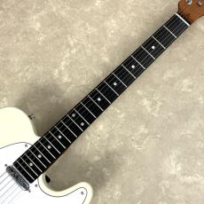 BUSKER'S BTL-Standard GWT テレキャスタータイプ_4