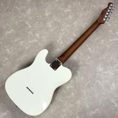 BUSKER'S BTL-Standard GWT テレキャスタータイプ_8