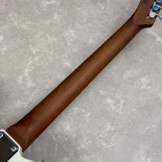 BUSKER'S BTL-Standard GWT テレキャスタータイプ_9