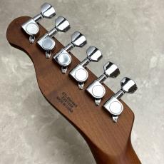 BUSKER'S BTL-Standard GWT テレキャスタータイプ_10