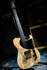 momose MT3・PP-BURL TOCHI LTD/R_2