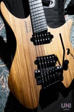 strandberg Boden Prog NX6 Plini Edition / 2022