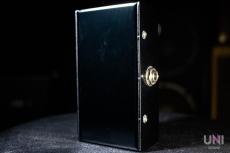 VIRTUES monica OverDrive_2