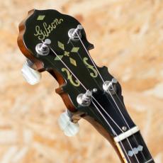 Gibson TB-250 1977_8