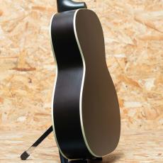 Gibson L-00 Special VS_5