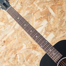 Gibson L-00 Special VS_6