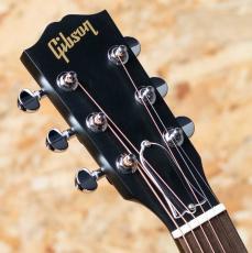 Gibson L-00 Special VS_8