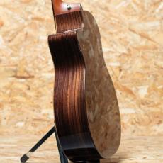 Taylor 414ce Studio Shaded Edgeburst_5