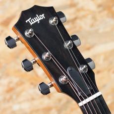 Taylor 414ce Studio Shaded Edgeburst_8