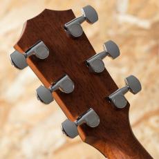 Taylor 414ce Studio Shaded Edgeburst_9