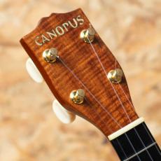 CANOPUS Hawaiian Koa Soprano_8