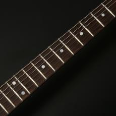 STR GUITARS STR JTG Design HH BEB/ASH_3