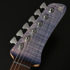 STR GUITARS STR JTG Design HH BEB/ASH_4