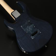 STR GUITARS STR JTG Design HH BEB/ASH_5